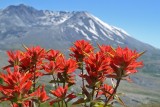 Th_1052_mt_saint_helens