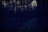 Th_p1050319