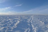 To wander through the snow