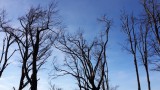 Th_20151227_132630