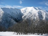 Mt Feathertop