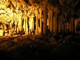 Katerinska jaskyna - kvaplovy les