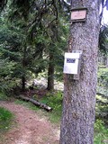 Najvyššia kóta Brdov - vrch Tok, 864 m.n.m.