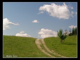 Cestička stúpajúca do nebies.