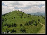 Vysoký Vrch (pohľad od Vysokej Skaly), modrá turistická značka vedie po hranici SVK-POL.