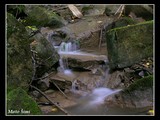 Kráľovstvo vody a machu.