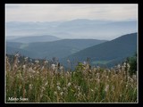 Pohľad na Považský Inovec z vrcholu Machnáča.