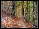 Turistický chodník tiahnuci sa úbočím kopca Hradisko.