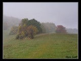 Prechod cez kopanice, okolo Starej Lehoty. Škoda tej hmly, listnáče tam hrali všetkými možnými farbami.