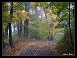 Cestička niekde za kopanicami, pri výšlape na Kostolný vrch.