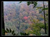Jesenný kolorit, pohľad naskytnuvší sa pri traverzovaní Krahulčích vrchov.