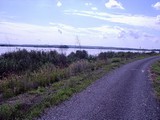 Musovske jazera