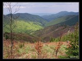 Pohľad do doliny, niekde za S.Marikovej.