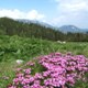 Raxalpe - Gr. Höllental a kaňon Kesselgraben