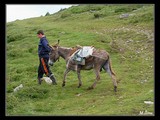 Aj takto sa transportuje náklad v rumunských horách.