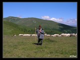 Bača so svojími ovečkami, v pozadi je vidieť kopec Urşu (2124 m).