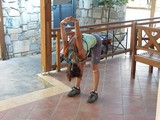 Janka a stretching