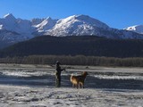 len co sme sa rozmrazili po chladnej noci,sup do vody na lososy