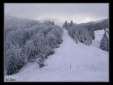 Cestičkou po červenej na vrchol Ploskej.