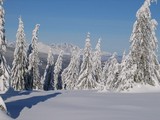 v pozadí Vysoké Tatry