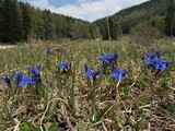 Horce pod Hochlantschom