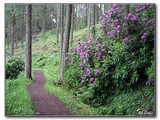 Začiatok turistického chodníka (West Highland Way) z dedinky Balmaha, kúsok od informačného centra.
