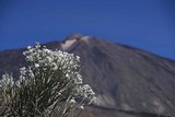 El Teide 3718m.n.m