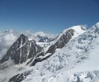 Augile du Midi