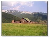 Th_piatra_craiului_2007_61