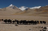 Pamir