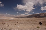 slane jazera v pusti(Tajikistan, Pamir)