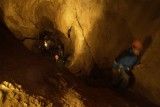 V jaskyni mŕtvych netopierov