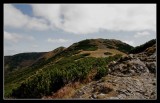 
            <EM>Chleb</EM>          