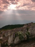 Chočská imprese.(Celou dobu bylo zataženo,pouze na několik okamžiků vykouklo slunce.V pozadí  Malá Fatra.)
    