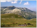 V poslednej časti pohoria TARCU, priamo pod najvyšším štítom Caieanu (2199 m).