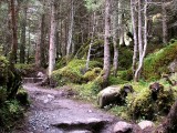 Grawa wasserfal, cestou na Sulzenaualm (1847 m)