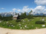 V pozadí najvyššie vrcholy Totes Gebirge - Gr. Priel a Spitzmauer