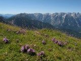 Úplne vzadu vykukuje Dachstein