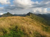 Gasselhöh 2001 m.