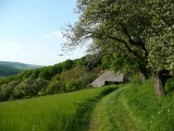 MTB Sobotišské kopanice