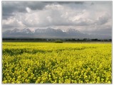 Tatry z diaľav.