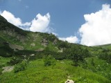 Opustili sme znacku a snazime sa predrat cez hlboku travu, cucoriedky a kosodrevinu na hreben.