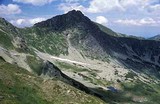 Ostrý roháč