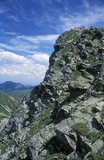 Ostrý roháč