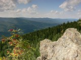 Pohled z Medvědího kamene na Rychlebské hory