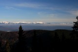 Výhľady sú až z Kartušky kúsok za najvyšším vrcholom Zadnej Poľany, 1458m