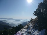 Cestou na Veľký Rozsutec, v pozadí Veľká Fatra