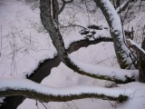 Konečne po snehu v Poľsku pod Tarnicou