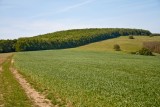 Cesta od Sobotišťa na Havran