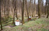 Pohľad zhora